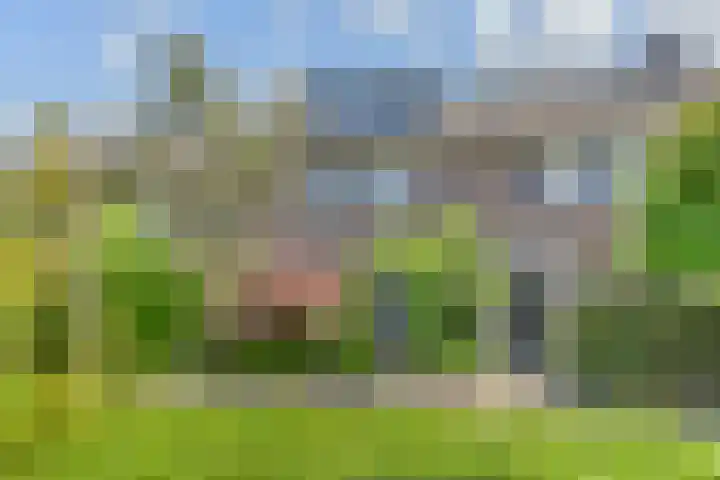 Vogellaan 30 Leiderdorp thumbnail 54
