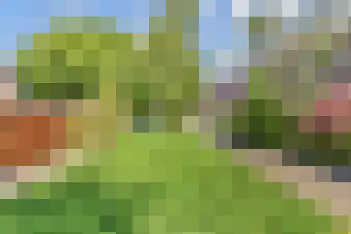 Vogellaan 30 Leiderdorp thumbnail 55