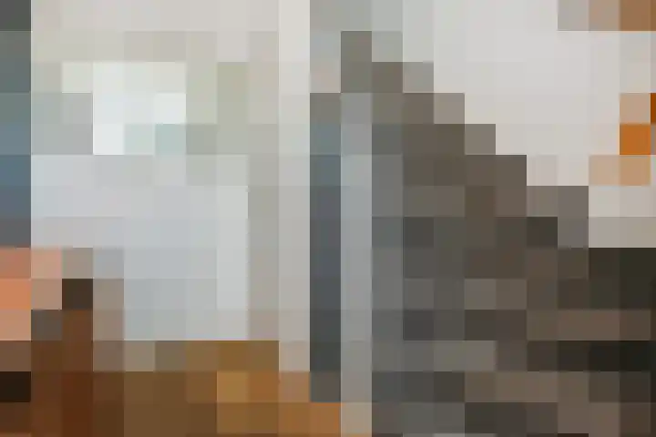 Vogellaan 30 Leiderdorp thumbnail 6