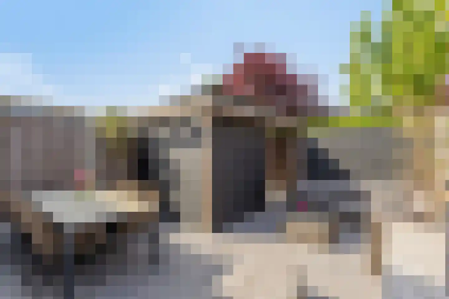 Vogellaan 4 a Terneuzen thumbnail 27
