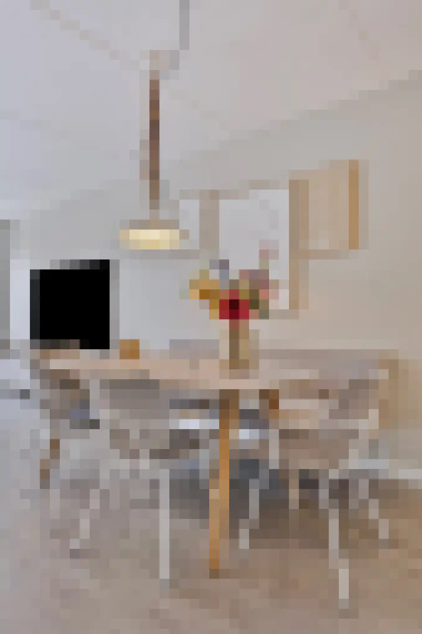 Vogellaan 4 a Terneuzen thumbnail 7