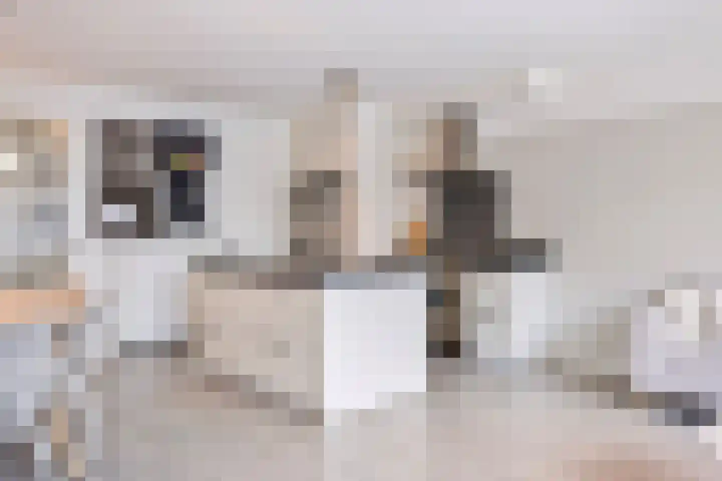 Vogellaan 4 a Terneuzen thumbnail 8