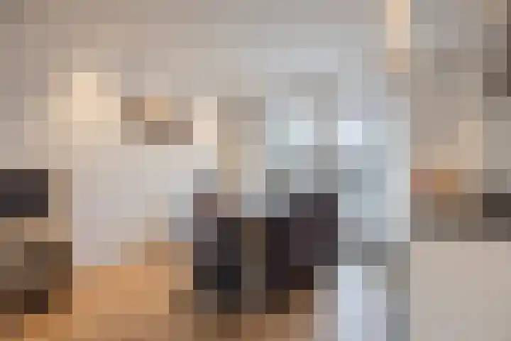 Vogellaan 43 Boskoop thumbnail 12