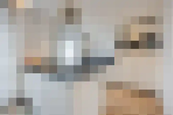 Vogellaan 43 Boskoop thumbnail 13