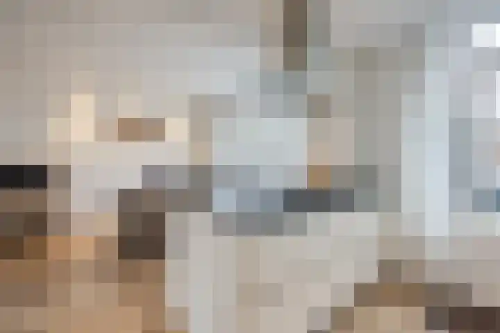 Vogellaan 43 Boskoop thumbnail 14