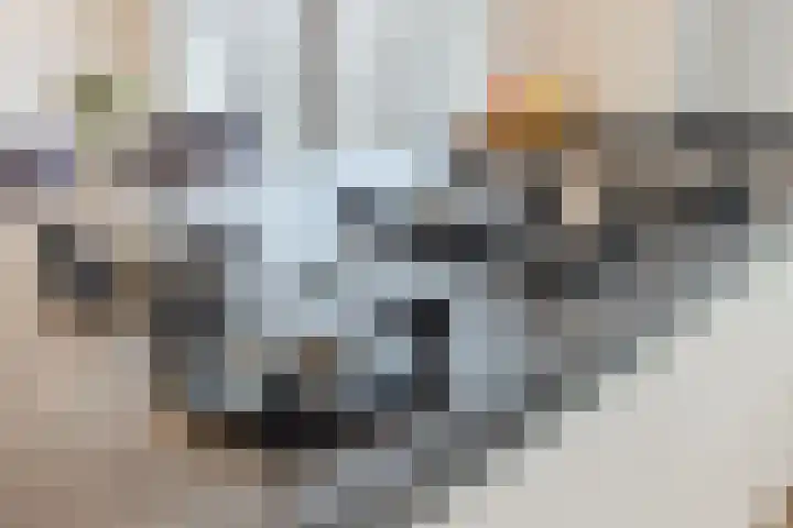 Vogellaan 43 Boskoop thumbnail 16