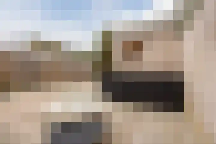 Vogellaan 43 Boskoop thumbnail 35