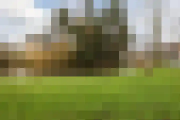 Vogellaan 43 Boskoop thumbnail 39