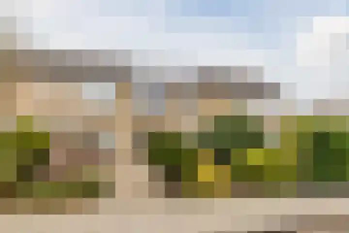 Vogellaan 43 Boskoop thumbnail 4