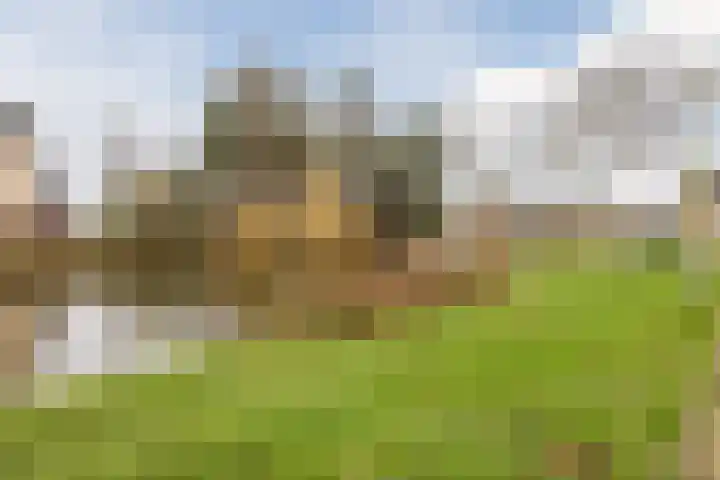 Vogellaan 43 Boskoop thumbnail 40