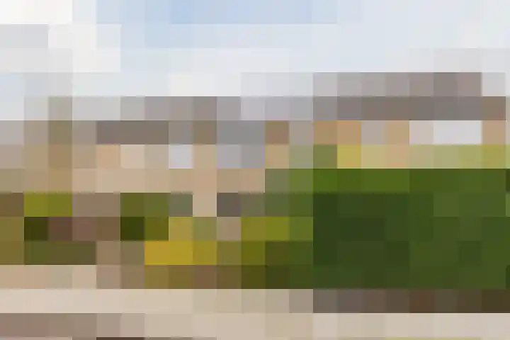 Vogellaan 43 Boskoop thumbnail 42