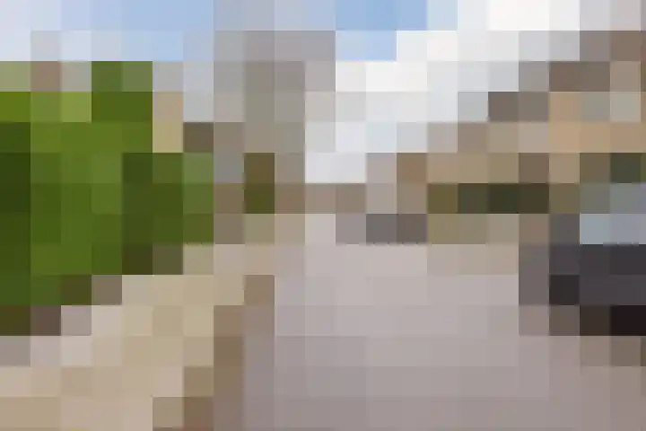 Vogellaan 43 Boskoop thumbnail 43