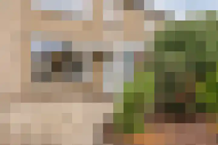 Vogellaan 43 Boskoop thumbnail 5
