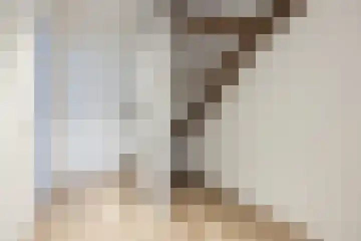 Vogellaan 43 Boskoop thumbnail 6