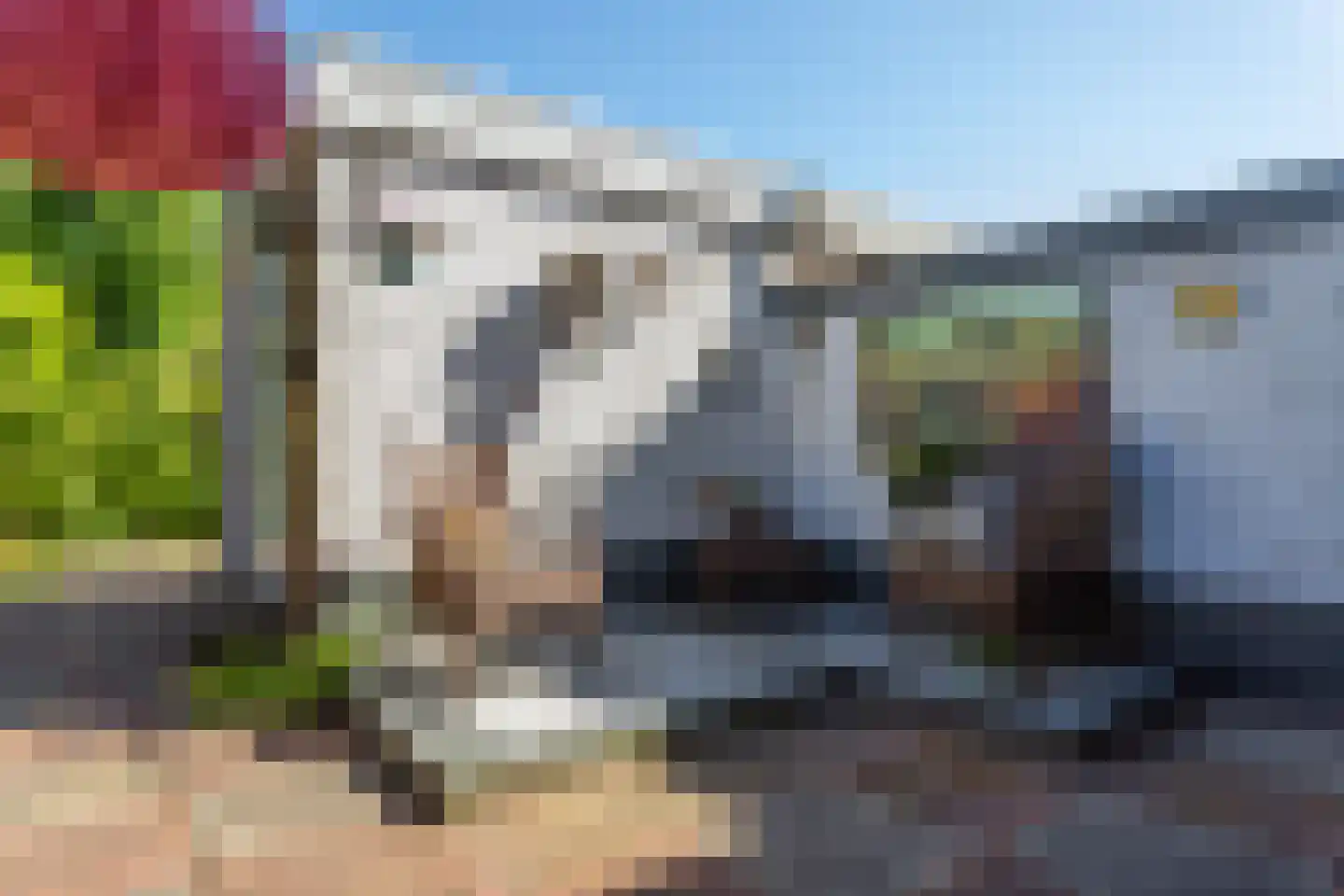 Vogellaan 47 Boskoop thumbnail 18