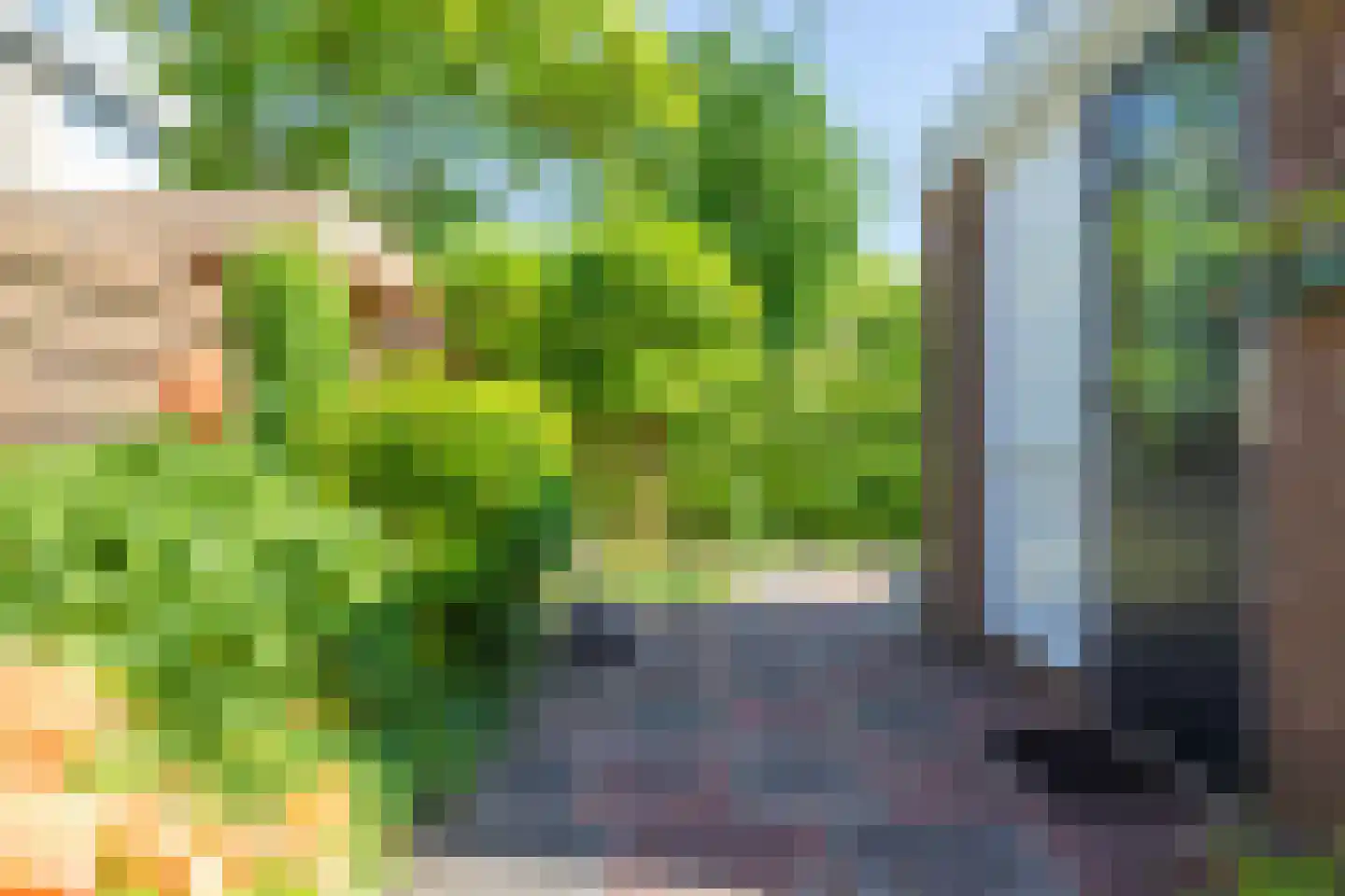 Vogellaan 47 Boskoop thumbnail 21