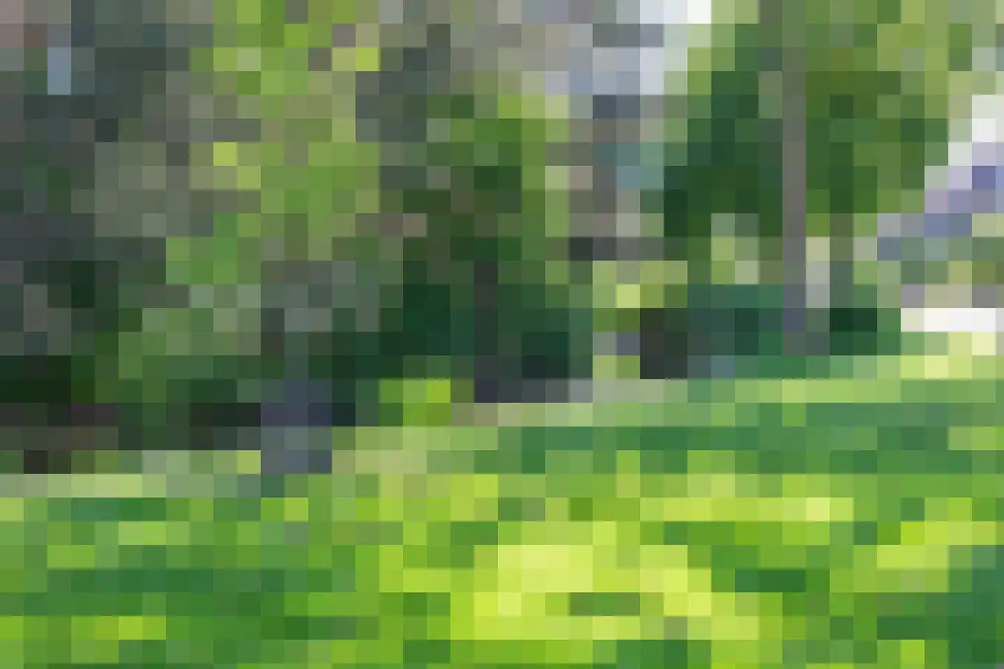 Vogellaan 47 Boskoop thumbnail 25