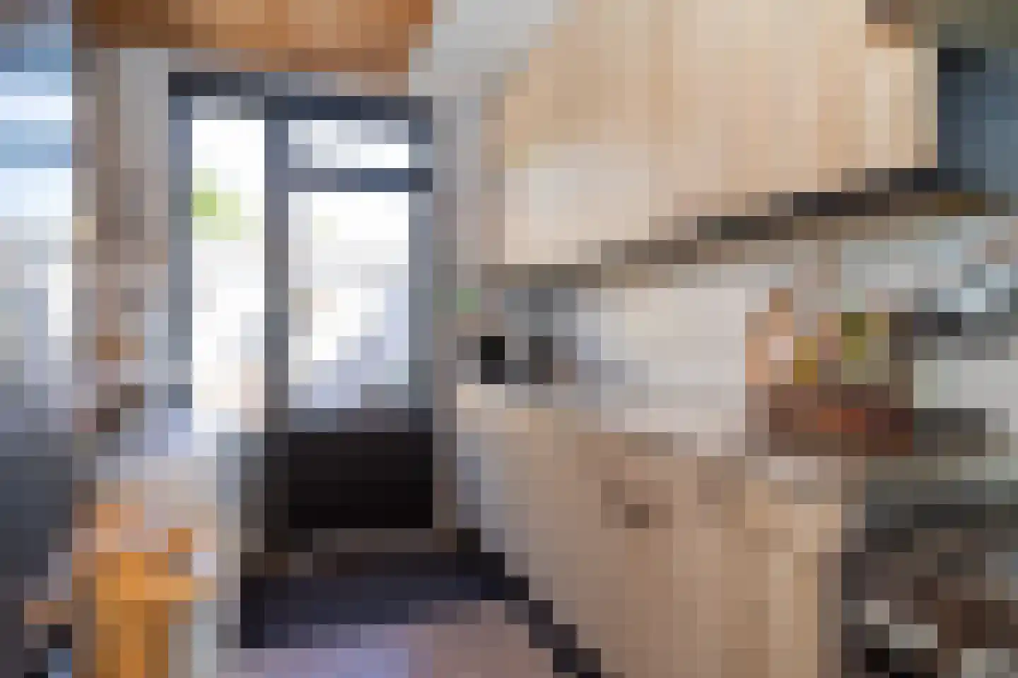 Vogellaan 47 Boskoop thumbnail 9