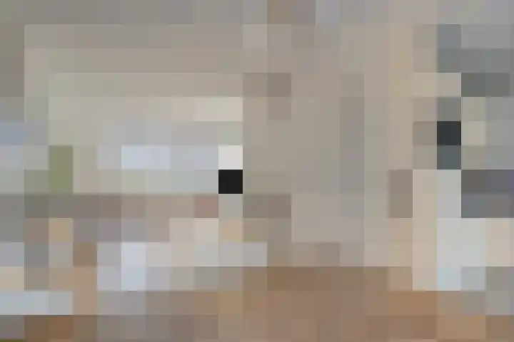 Vogellijm 4 Elsloo thumbnail 17