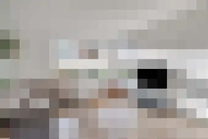 Vogellijm 4 Elsloo foto 2