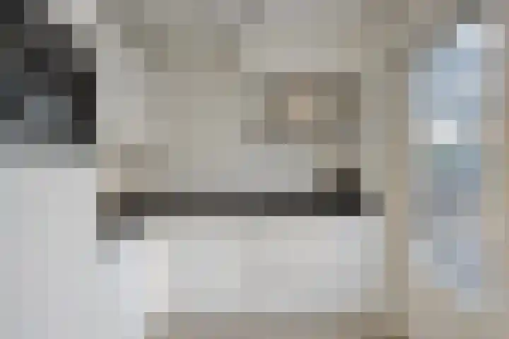 Vogellijm 4 Elsloo thumbnail 20