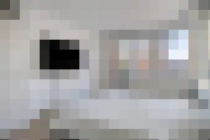 Vogellijm 4 Elsloo thumbnail 23