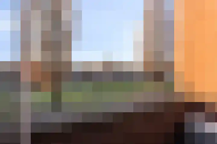 Vogellijm 4 Elsloo thumbnail 25