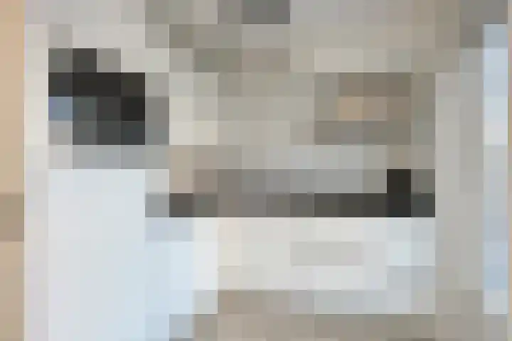 Vogellijm 4 Elsloo foto 3
