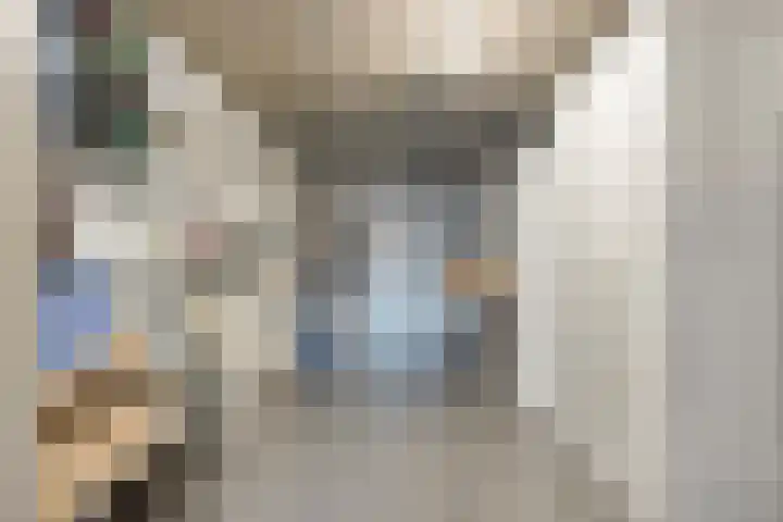 Vogellijm 4 Elsloo thumbnail 31