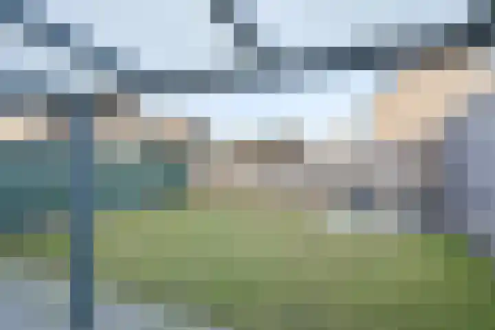 Vogellijm 4 Elsloo thumbnail 32
