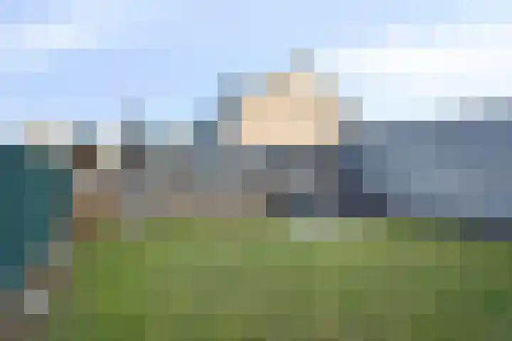 Vogellijm 4 Elsloo thumbnail 34