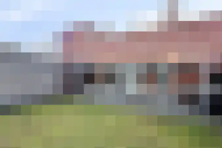 Vogellijm 4 Elsloo thumbnail 35