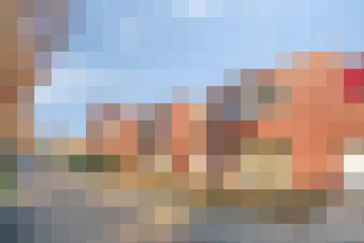 Vogellijm 4 Elsloo thumbnail 5