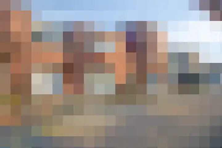 Vogellijm 4 Elsloo thumbnail 6