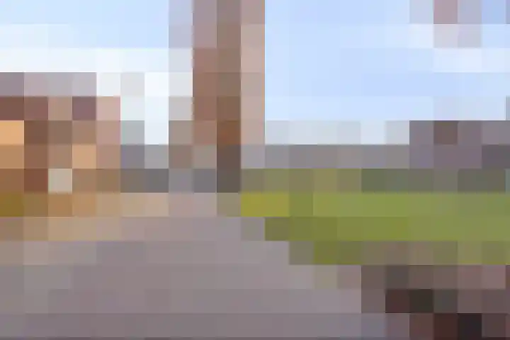 Vogellijm 4 Elsloo thumbnail 7