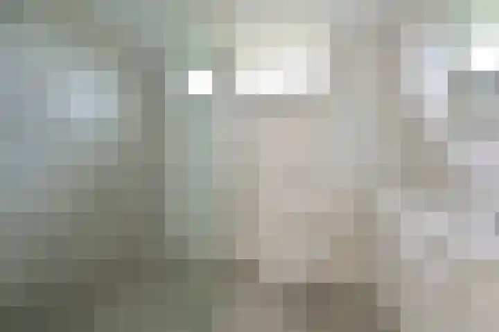 Vogelmelk 3 Breukelen thumbnail 11