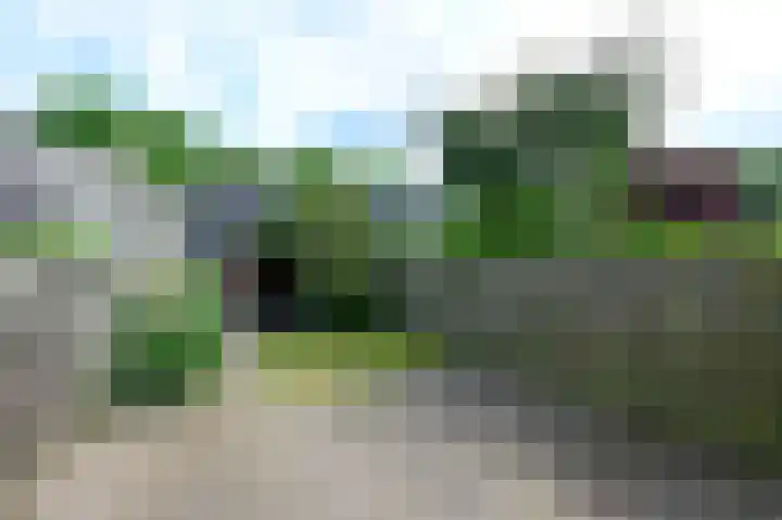 Vogelmelk 3 Breukelen thumbnail 22