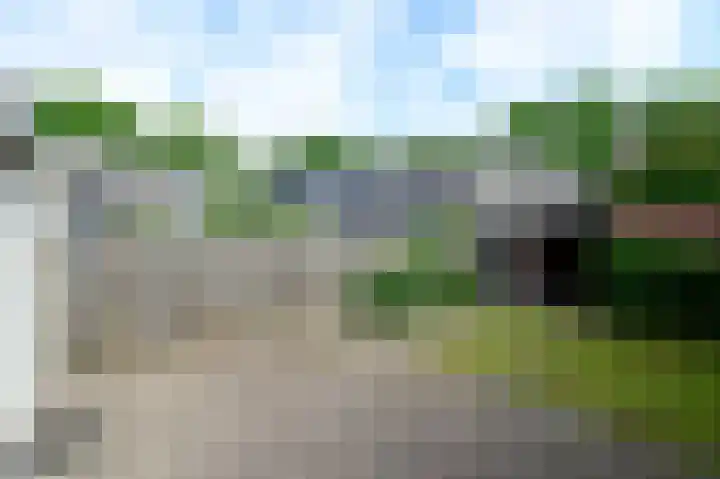 Vogelmelk 3 Breukelen thumbnail 23