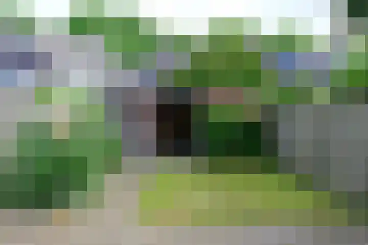 Vogelmelk 3 Breukelen thumbnail 24
