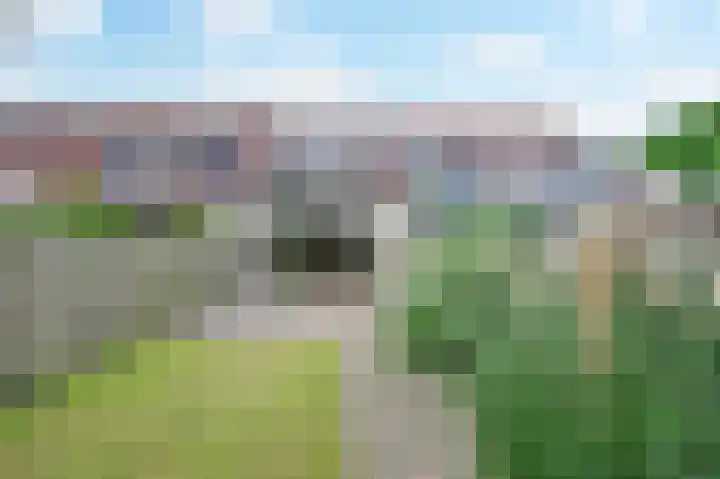 Vogelmelk 3 Breukelen thumbnail 26