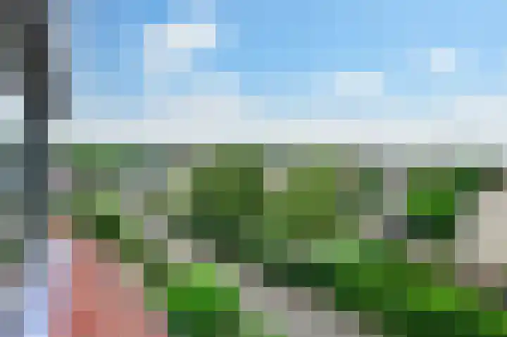 Vogelmelk 3 Breukelen thumbnail 27