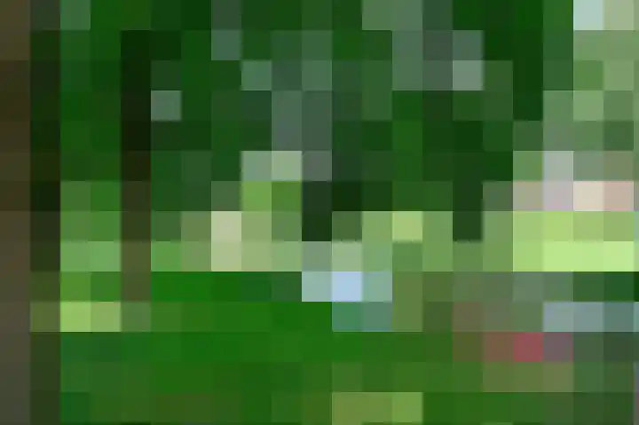 Vogelmelk 3 Breukelen thumbnail 28