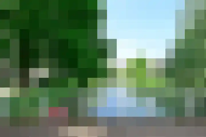 Vogelmelk 3 Breukelen thumbnail 29