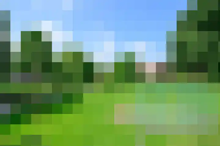 Vogelmelk 3 Breukelen thumbnail 30