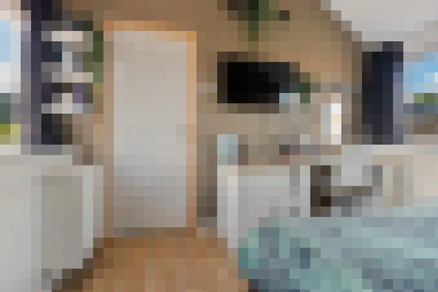 Vogelmelkstraat 9 Krommenie thumbnail 36