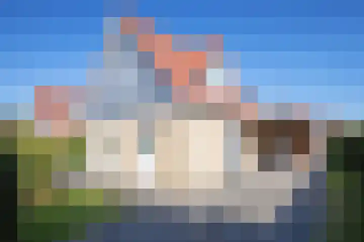 Vogelmient 39 De Koog foto 2