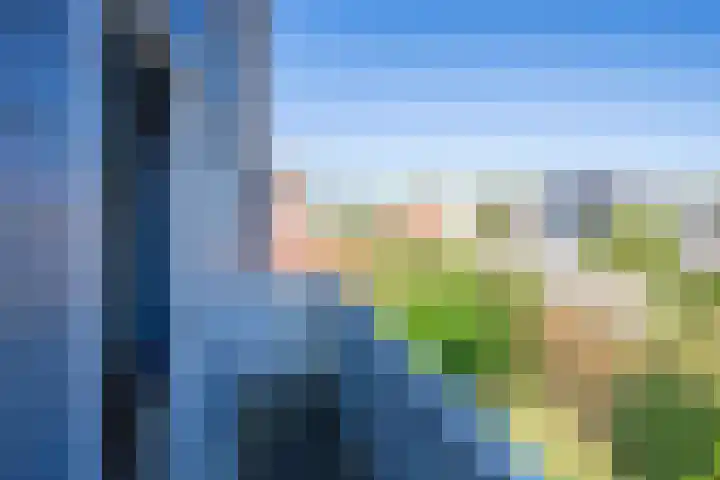 Vogelmient 39 De Koog thumbnail 20