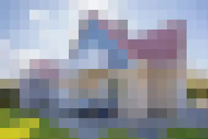 Vogelmient 39 De Koog thumbnail 40