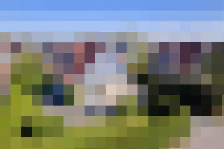Vogelmient 39 De Koog thumbnail 44