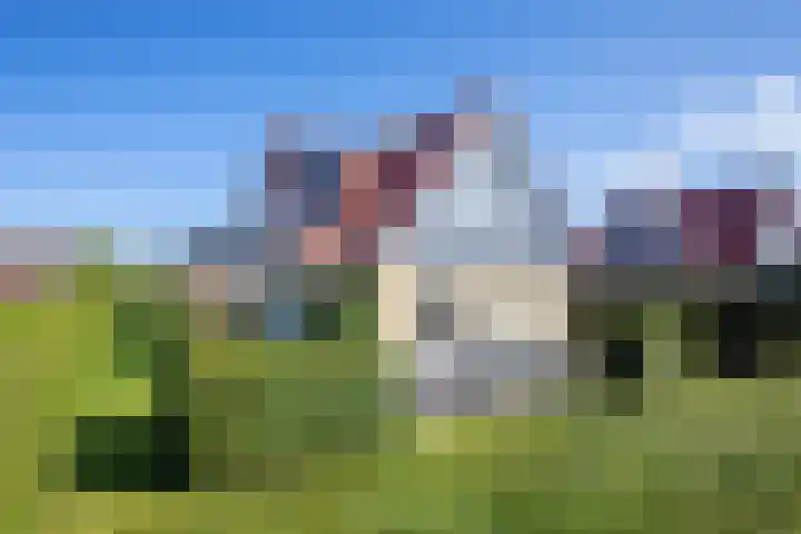 Vogelmient 39 De Koog thumbnail 49